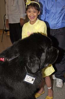 Josh the therapy dog