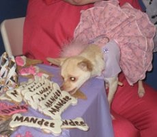 Mandi's Birthday