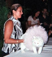 fluffy white kitty