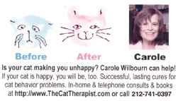 Cat Therapist