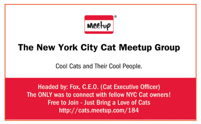 Cat Meetup