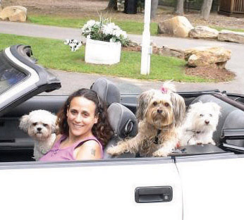 Road Trip