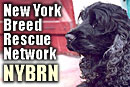 Breed Rescue Network