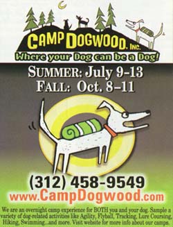 Dog Camp