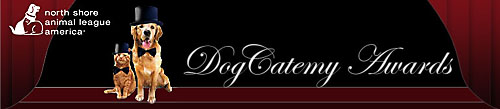 Dogcatemy