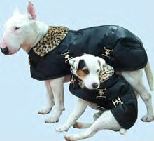 dog coats