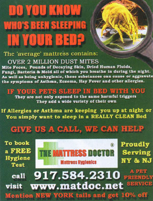 The Mattress Doctor