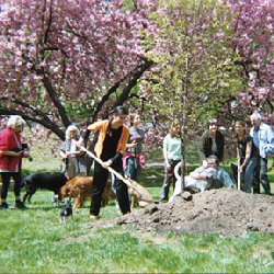 rememberance tree planted