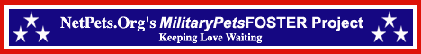 Foster Care for Military Pets