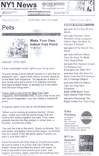 NY1 News Article about New York Tails