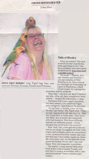 NY Times Article about New York Tails