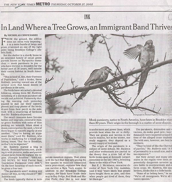 NY Times Article about New York Tails