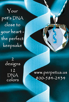 DNA Pendant