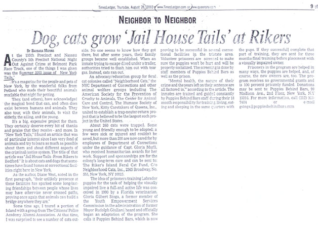 TimesLedger Article about New York Tails