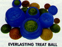 Everlasting Treat Ball